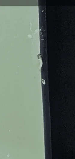 Screenshot_20201004-120632.webp