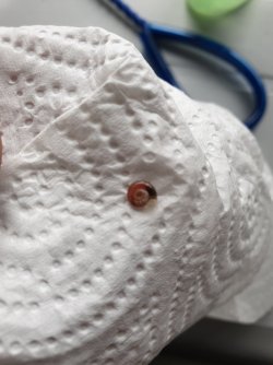 20201006_124558.jpg