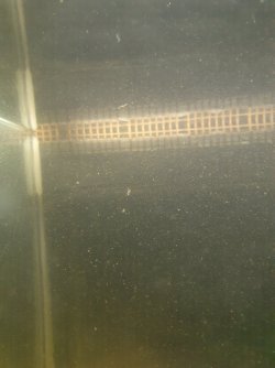 20201007_024016.jpg