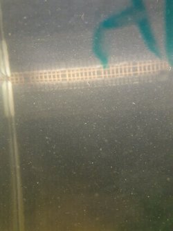 20201007_023951.jpg