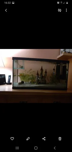 Screenshot_20201008-163225_Gallery.webp
