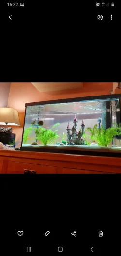 Screenshot_20201008-163217_Gallery.webp