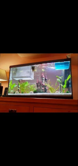Screenshot_20201014-203454_Gallery.webp