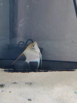 16027600535234807135688728759734.webp