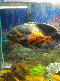 20201005_092547_HDR.webp
