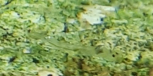 20201023_194207.jpg