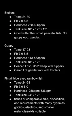 Screenshot_20201023-220948.webp