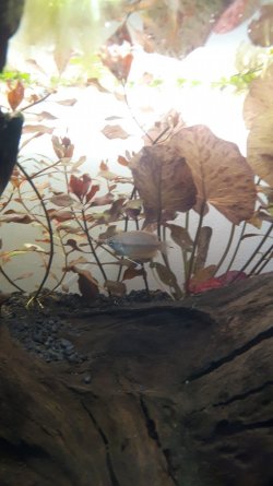 20201024_235129.jpg 20201024_235129.jpg