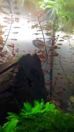 20201025_153008.jpg 20201025_153008.jpg