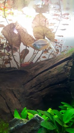 20201025_153011.jpg 20201025_153011.jpg