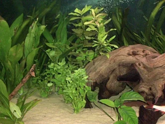 tankupdate2.webp