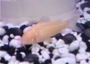 100_2578.jpg