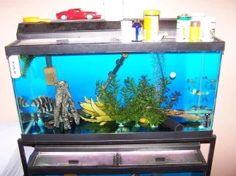holdingtank.webp