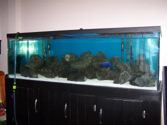 rocks..after.webp