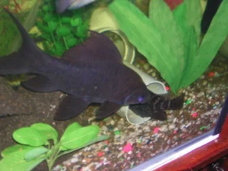 Picture_003.webp