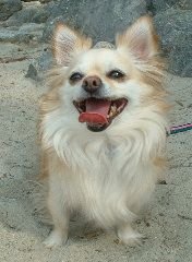 Smile.JPG