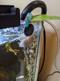 pothos12g.webp pothos12g.webp