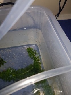 20201109_205224.jpg