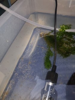 20201109_205216.jpg