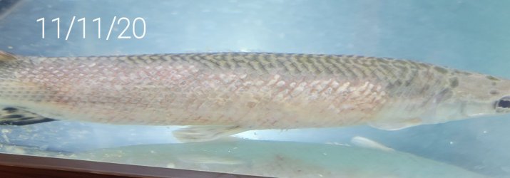 20201111_195044.jpg