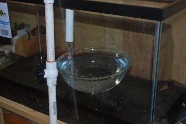 Filling tank with water using glass bowel.jpg