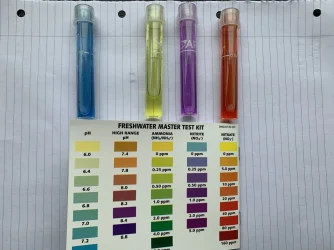 31260D8F-0D34-4EC0-80A5-13088C62FDA4.webp