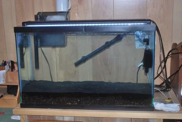 29 gallon tank 11-17-2020.webp