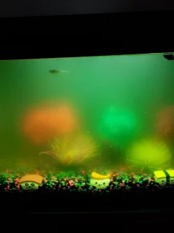 20201122_082222.webp