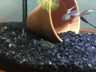 8CADB8D0-6D37-4E71-AECE-255E99DB615E.webp