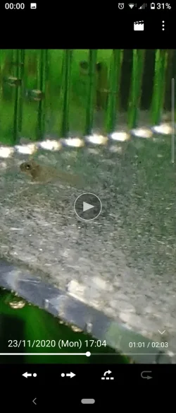 Screenshot_20201124-000054.webp