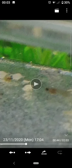 Screenshot_20201124-000356.webp