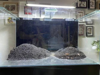 50gal scaping2.webp