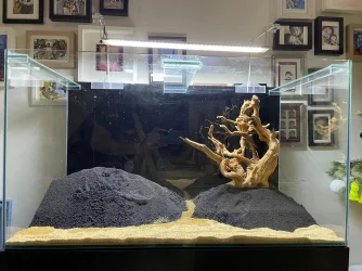 50gal scaping3.webp