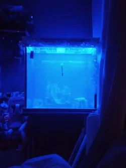 1607201991101117689279872066741.webp