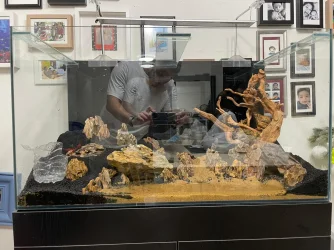 50gal scaping v3.webp
