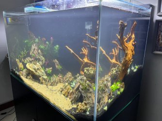 50gal scaping v3-planted 4.jpeg