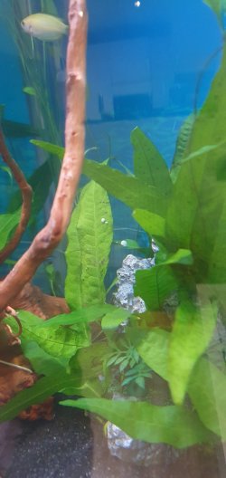 20201206_082455.jpg