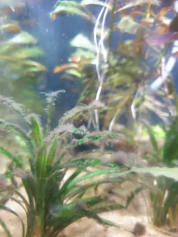 20201210_131725.jpg