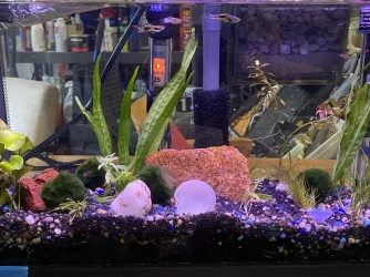 732F292C-1B91-4B63-8E08-00BAD42EBF70.webp