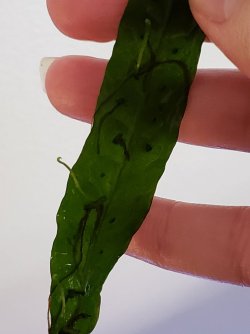 20201214_153635.jpg