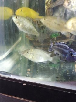 IMG_20201215_105854.jpg