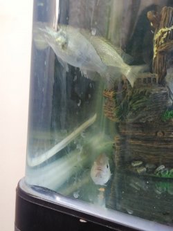 IMG_20201215_105839.jpg