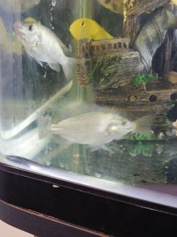 IMG_20201215_105828.jpg