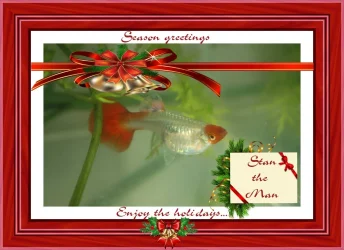 xmas2020a.webp