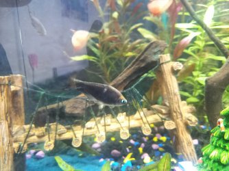 20201225_123330.jpg