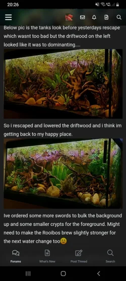 Screenshot_20201228-202648_Samsung Internet.webp