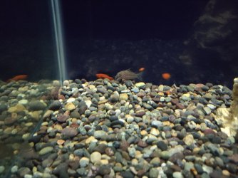 IMG_20201228_200446.jpg