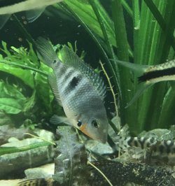 080ADD3E-920E-405D-82F0-DF195B92E462.jpeg 080ADD3E-920E-405D-82F0-DF195B92E462.jpeg