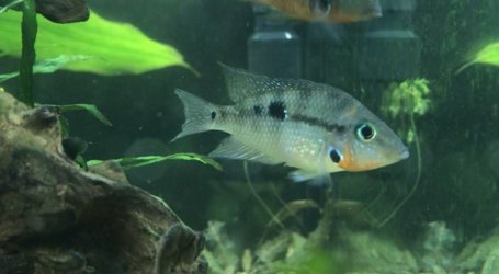 5885DF4F-8A21-4C8B-9B14-76FFAD43F884.jpeg 5885DF4F-8A21-4C8B-9B14-76FFAD43F884.jpeg