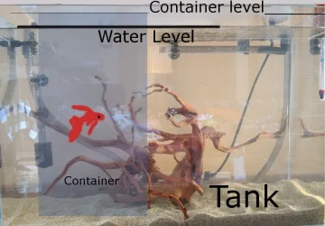 container.jpg container.jpg